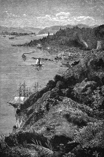 St. Lawrence River near Quebec, timber export, cargo ships, tall ships, shore landscape, forests,
