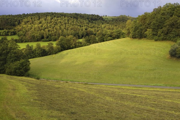 Gently rolling hills with green meadows and neighbouring forest, Siegen