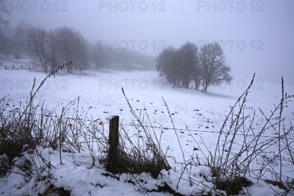 Snowy meadow with trees and misty horizon, Siegen