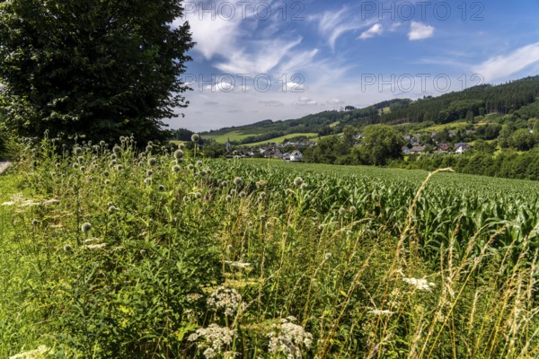 Landscape along the Sauerlandring cycle path, an 84 km long circular cycle path between the towns