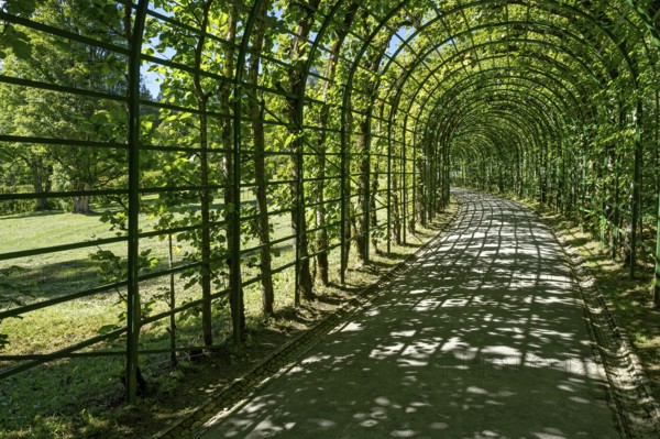 Arcade to the Venus Grotto, Linderhof Palace Park, UNESCO World Heritage Site, Ettal,
