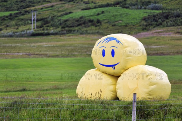 Happy emoticon with tongue, smiley on hay bale, round bale with drawing, Snæfellsnes, Snaefellsnes,