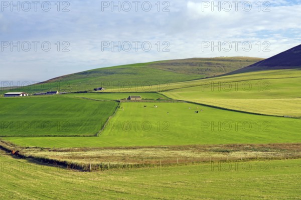 Green fields and hills under a partly cloudy sky, Mainland, Orkney Islands, Scotland, Great Britain