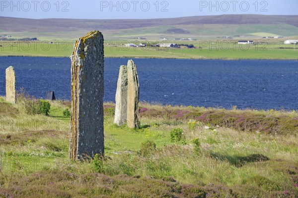 Ancient stones at the edge of a blue lake with green hills in the background, Ring of Brodgar,