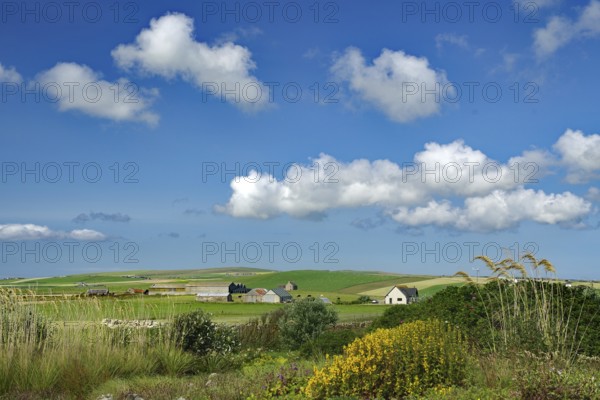 Village landscape with houses and fields under a cloudy sky, Mainland, Orkney Islands, Scotland,