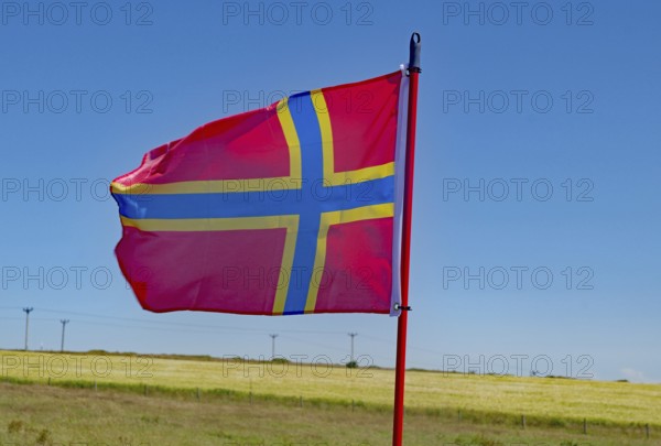 Red flag with yellow cross waving in front of blue sky and flowering meadow, flag of the Orkney