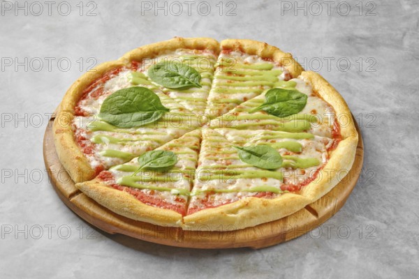 A vegetarian pizza showcases a golden crust topped with tomato sauce, melted cheese, and vibrant