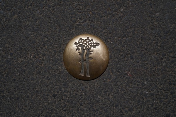 Golden waymarker for city tour on the asphalt, motif liberty tree, old town, Bayeux, Normandy,