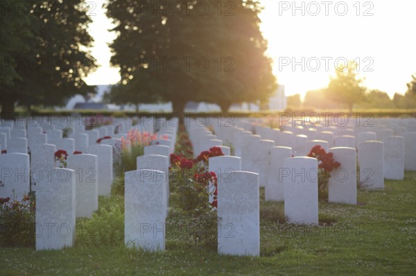 Gravestones, war graves, soldiers' graves, flowers, roses, British and German military cemetery,