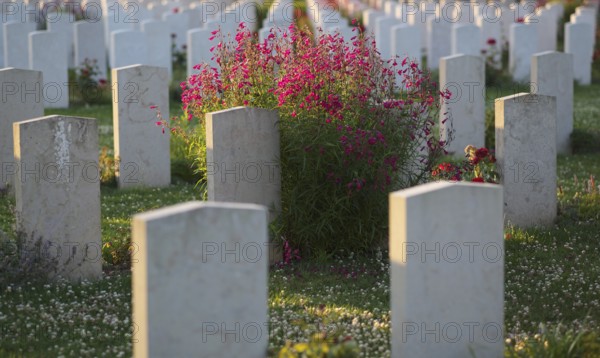 Gravestones, war graves, soldiers' graves, flowers, British and German military cemetery, Cimetière