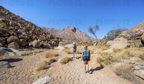 Tourist with guide on the White Lady Trail, Tsisab Gorge, desert landscape, Brandberg, Erongo,