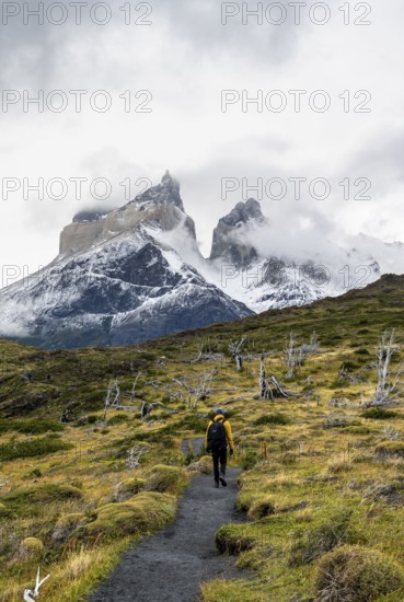 Hikers on a hiking trail to the Mirador de los Cuernos, Cuernos del Paine mountain range in autumn,