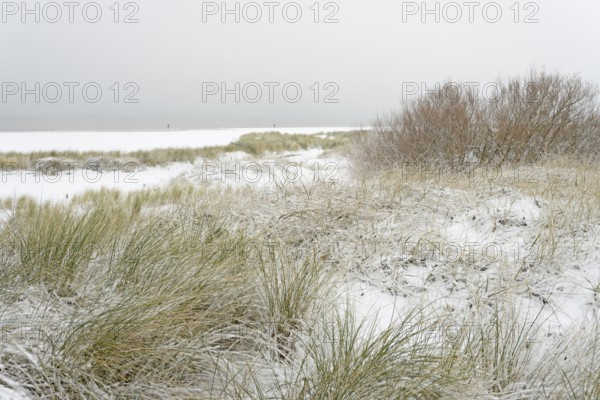 Winter day, onset of winter, snow-covered dune landscape of Norddeich, North Sea, Lower Saxony,