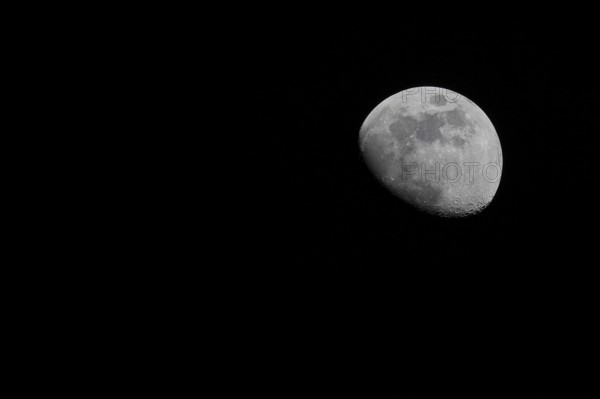 Moon (Luna), half moon in front of black sky, waxing moon, Wilnsdorf, North Rhine-Westphalia,