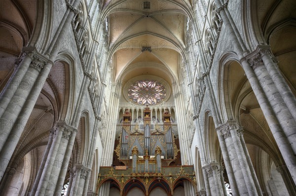 Interior view, west gallery, main organ, rose window, Cathédrale Notre-Dame d'Amiens, Amiens,