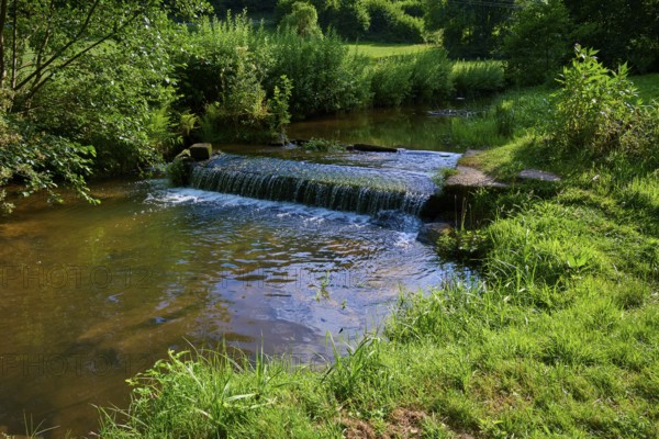 Quiet stream with lots of greenery and plants on the banks, summer, Ohrnbachtal, Weckbach,