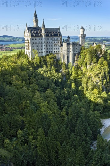 Neuschwanstein Castle by King Ludwig II above the Pöllat Gorge, fairytale castle in the