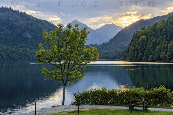 Alpsee at Neuschwanstein Castle, behind Vilser Kegel, Brentenjoch with Roßberg, Tannheimer Berge,
