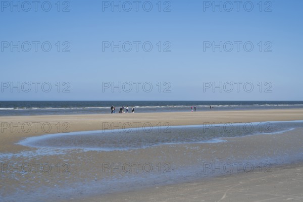 Sandbank, people on the coast, blue sky, Sankt Peter Ording, Eiderstedt, North Frisia, North Sea,