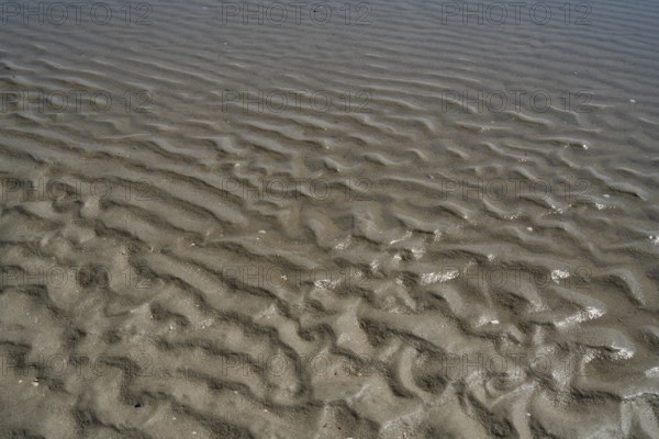 Seabed with ripples, low tide at the North Sea, Sankt Peter Ording, Eiderstedt, North Frisia, North