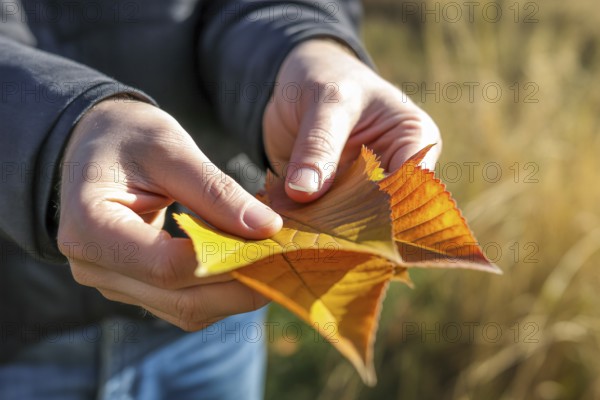 Hands holding yellow autumn leaves outdoors. Captures the beauty of fall and connection with nature