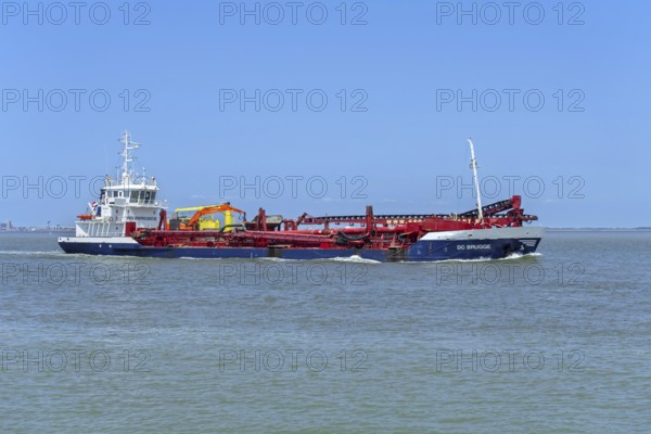 Trailing suction hopper dredger, TSHD DC Brugge by Group De Cloedt nv on the Western Scheldt,
