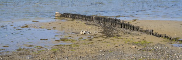 Wooden groynes on the coast, breakwater, Laboe, Baltic seaside resort, fjord, Baltic Sea, North