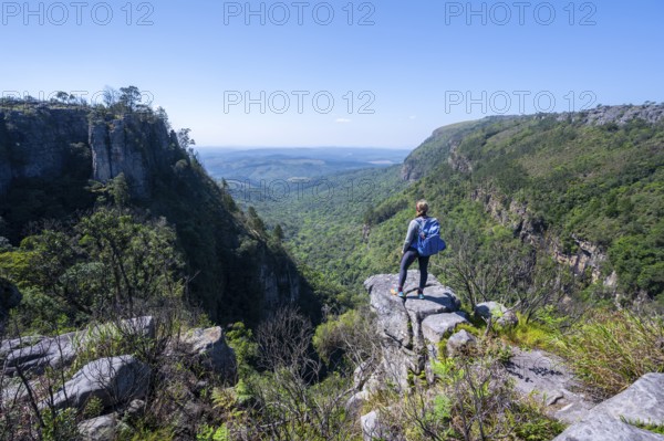 Young woman standing on a rocky outcrop, view over densely forested canyon, Pinnacle Rock, near