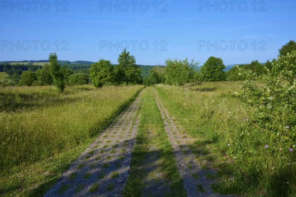 Nature trail through a wide meadow with blue sky in the background, Fladungen, Frankenheim, Hohe