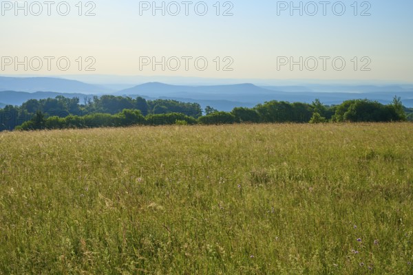 Green landscape with trees and hills in the background under a sunny sky, Fladungen, Frankenheim,