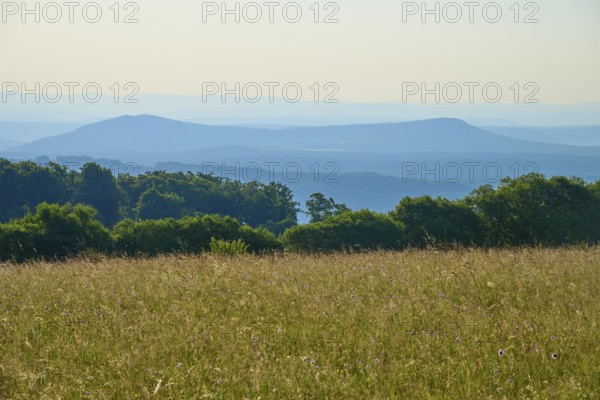 Wide meadow landscape with wooded hills and detailed horizon under a clear sky, Fladungen,