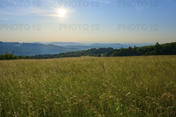 Sunrise over a vast field with rolling hills and blue streaks of sky, Fladungen, Frankenheim, Hohe