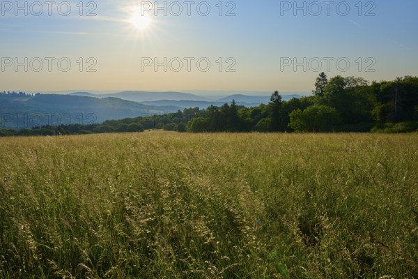Sunlit meadow landscape with rolling hills and wooded mountain ranges on the horizon, Fladungen,