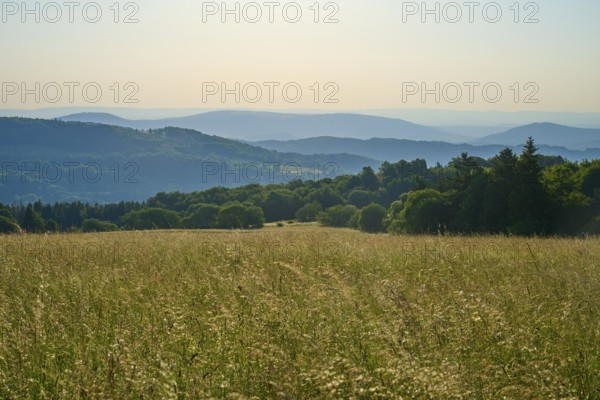 Wide landscape with undulating meadows and wooded hills in the background under a clear sky,