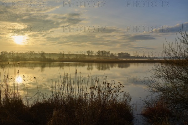 Peaceful sunrise at the lake with golden light and calm nature, Reinheimer Teich, Reinheim, Hesse,