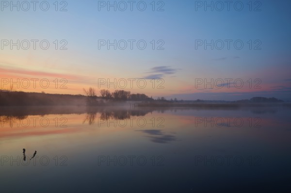 Calm lake at sunrise with soft colours and clear reflections, Reinheimer Teich, Reinheim, Hesse,