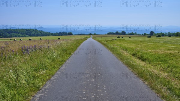 Endless road leads through green fields under a clear blue sky with hills in the distance,