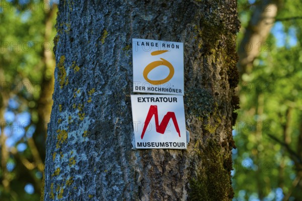 Signs on a tree trunk in a forest, surrounded by green leaves, Fladungen, Frankenheim, Hohe Rhön,