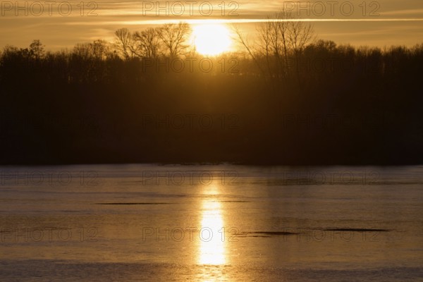 A still lake reflects the golden sunlight of a sunrise behind the trees, Reinheimer Teich,