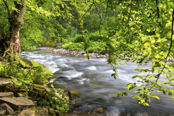 The river Wutach in the forest. Long exposure. Wutach Gorge, Upper Black Forest, Baden-Württemberg,