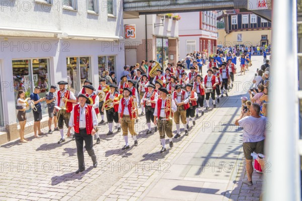 A brass band marches through a cobbled street, surrounded by spectators and historic buildings, 950