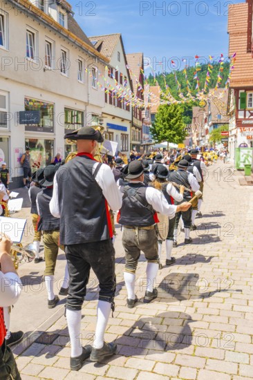 Brass musicians march through a lively village street in sunny weather, 950 years of Calw, Calw