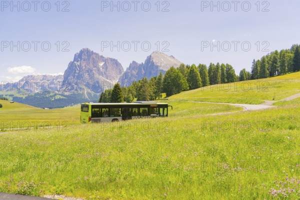 Green bus crosses the meadow landscape with mountains in the background, Alpe di Siusi, Dolomites,