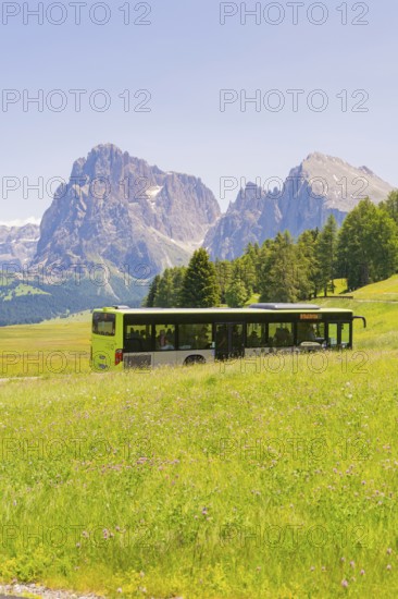 Green bus drives through green meadows in front of majestic mountains in summer, Alpe di Siusi,