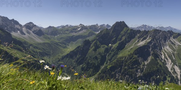 Mountain panorama with various mountain flowers from the Laufbacher-Eckweg into the rear Oytal with