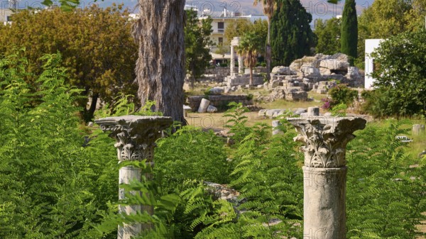Two ornate ancient columns rise out of lush green foliage in a landscape of ruins, Ancient Agora,
