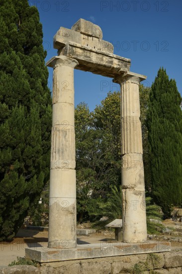 Free-standing ancient columns in front of a deep blue sky and trees, Ancient Agora, Kos Town, Kos,