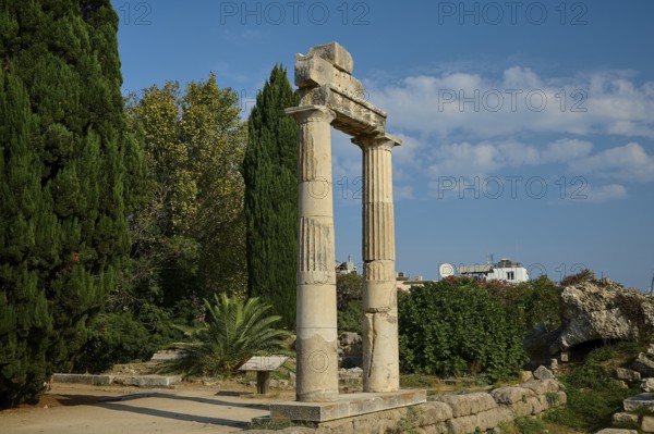 Ancient columns against a blue sky, surrounded by lush vegetation, Ancient Agora, Kos Town, Kos,