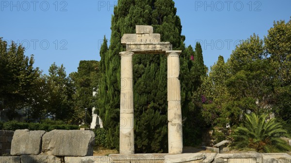 Ancient Tor tor with columns and dense green tree in the background, Ancient Agora, Kos Town, Kos,