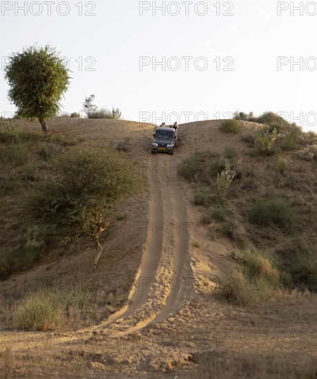Jeep driving down a sand dune in the Thar Desert or Great Indian Desert, near Jaisalmer, Rajasthan,